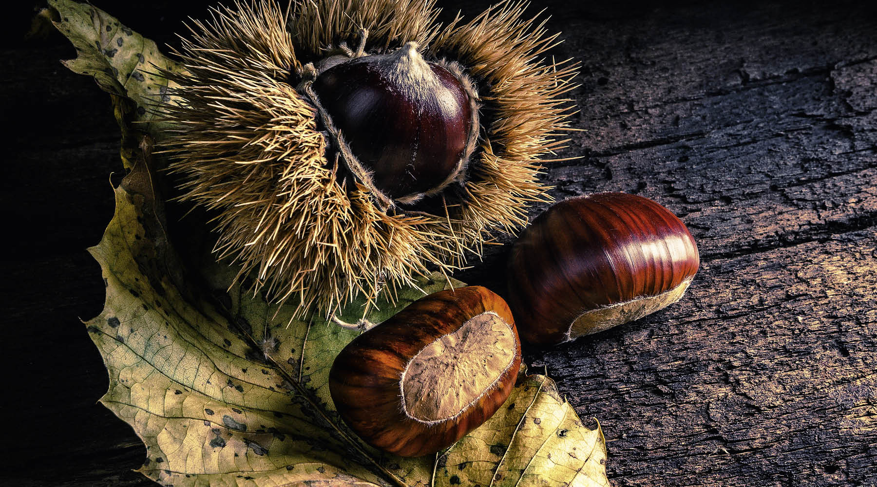 Maronen zubereiten und würzen – So gelingen Esskastanien perfekt