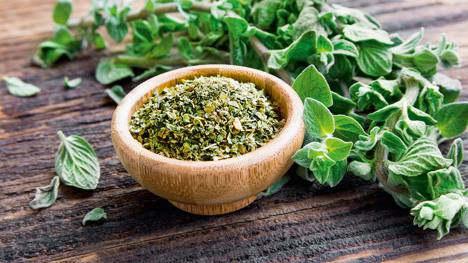 Oregano