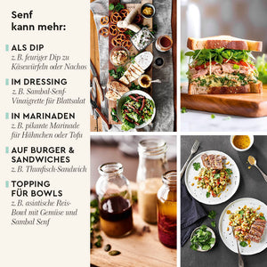 Sambal Senf Anwendungsideen