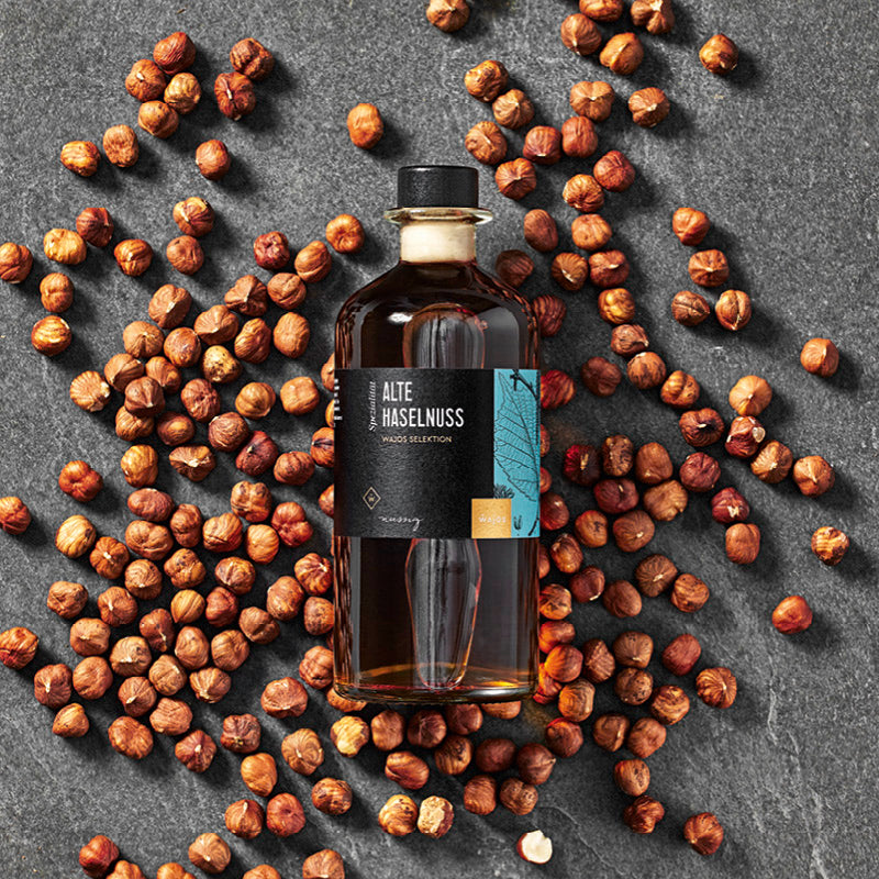 Alte Haselnuss Likör dargestellt mit Haselnüssen