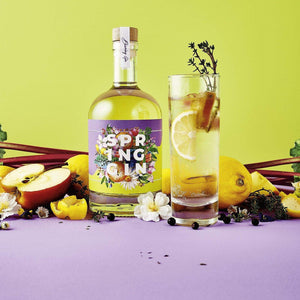 Spring Gin dargestellt als Gin Tonic im Cocktailglas