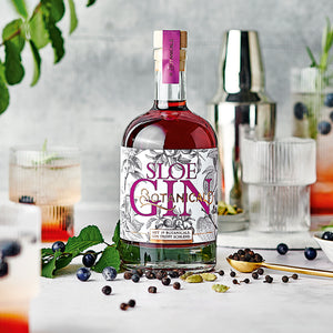 Botanical Sloe Gin dargestellt mit Cocktail
