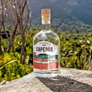 Capebos Gin dargestellt in der Landschaft von Kapstadt