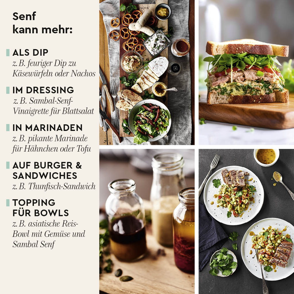 Sambal Senf Anwendungsideen